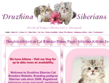 Tablet Screenshot of druzhina-siberian-cats.co.uk